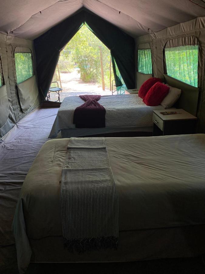 הודספרויט Mzsingitana Tented Camp מראה חיצוני תמונה
