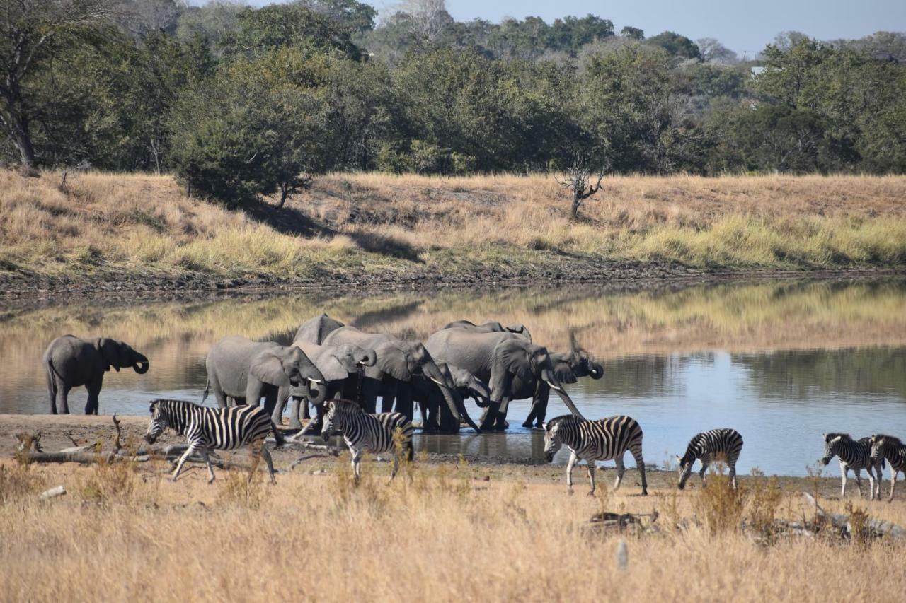 הודספרויט Mzsingitana Tented Camp מראה חיצוני תמונה