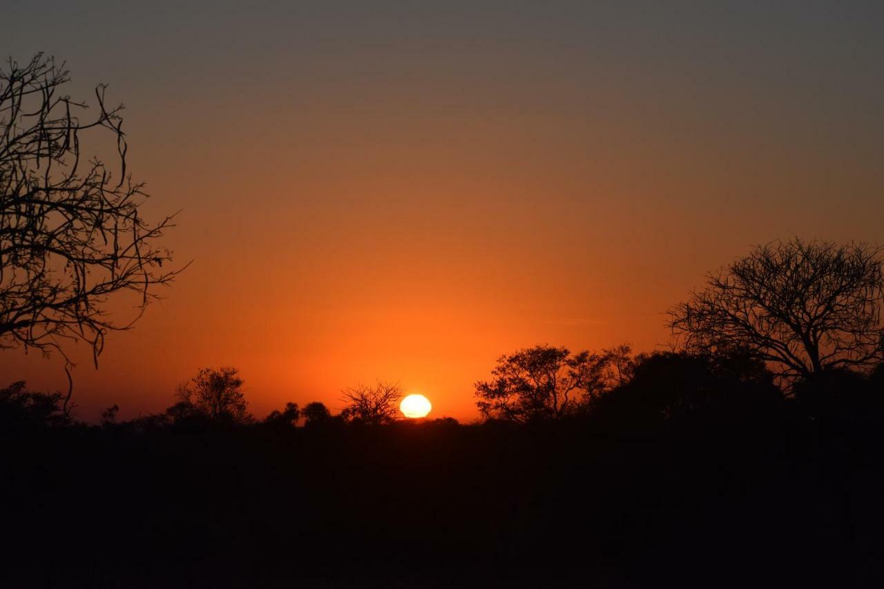 הודספרויט Mzsingitana Tented Camp מראה חיצוני תמונה